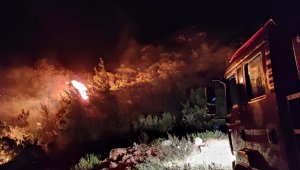 Hatay'da makilik alanda çıkan yangın kontrol altına alındı