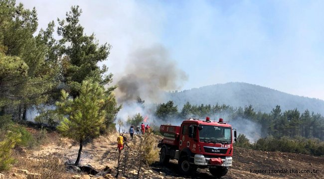Hatay'daki orman yangınında 2 hektar alan zarar gördü