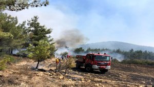 Hatay'daki orman yangınında 2 hektar alan zarar gördü