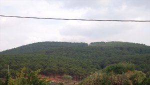 İstanbul'da Aydos Ormanı'nda yangın