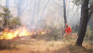 İstanbul'da Aydos Ormanı'nda yangın 