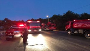 İstanbul'da orman yangını