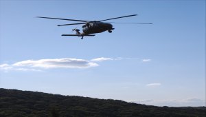 İstanbul Emniyet Müdürü Zafer Aktaş, Aydos Ormanı'nı havadan denetledi