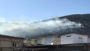 İzmir'de çıkan orman yangını kontrol altına alındı
