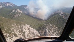 İzmir'de makilik alanda yangın