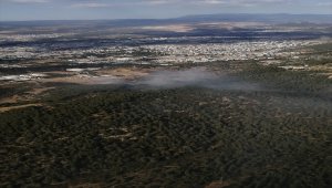 İzmir'de ormanlık alana sıçrayan fabrika yangını kontrol altına alındı 