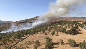 İzmir'de ormanlık alanda çıkan yangın söndürüldü