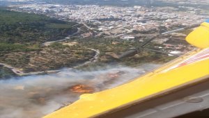 İzmir'in Kemalpaşa ilçesinde orman yangını çıktı 