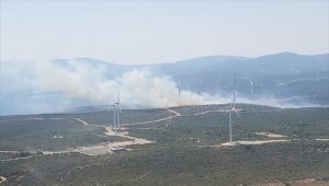 İzmir'in Seferihisar ilçesinde makilik alanda yangın çıktı