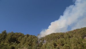 Kahramanmaraş'ta çıkan orman yangınına havadan ve karadan müdahale ediliyor 