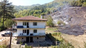 Karabük'te çıkan orman yangını söndürüldü