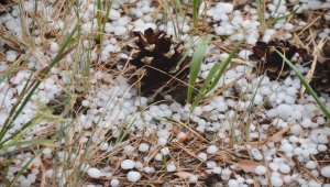 Kars'ta etkili olan dolu nedeniyle kent beyaza büründü