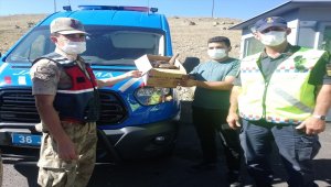 Kars'ta yaralı bulunan gökdoğan tedavi altına alındı