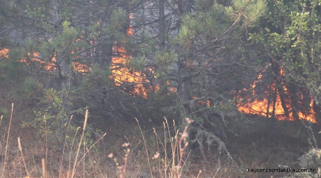 Kastamonu'da çıkan orman yangınına müdahale ediliyor
