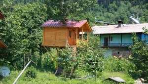 Kavak ağacının gövdesine yapılan 13 metrekarelik ahşap pansiyon ilgi görüyor
