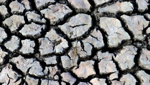 Kırklareli'nde Deveçatağı Göleti'nin suyu bilinçsiz sulama nedeniyle azaldı