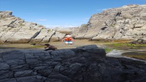 Kırklareli'nde kayalıklarda mahsur kalan kişi AFAD ekiplerince kurtarıldı