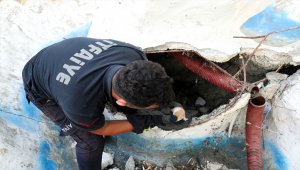 Kırklareli'nde süs havuzunda mahsur kalan yavru kediyi itfaiye kurtardı