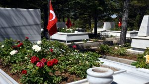 Kırşehir'de şehitliğe 600 kırmızı beyaz gül fidanı dikildi