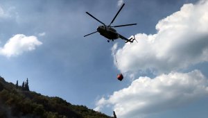 Kocaeli'de çıkan orman yangınına müdahale ediliyor