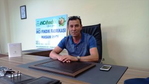 Kocaeli'de fındık hasadına başlandı