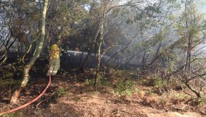 Korudağı'nda orman yangını çıktı
