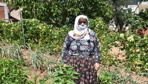 KOVİD-19 HASTALARI YAŞADIKLARINI ANLATIYOR - "Hastaneye çift gittim, tek geldim"