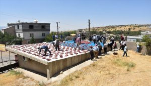 Köyde kestikleri kurbanlıkların etini her aileye eşit şekilde dağıtıyorlar