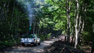 Kütahya'da kızıl kuyruklu kayın tırtılına karşı başlatılan biyolojik mücadele sürüyor