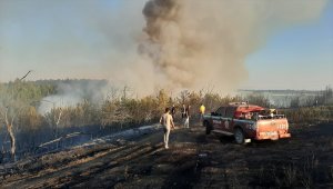 Manavgat'ta orman yangını çıktı 