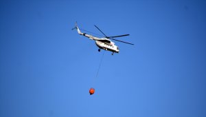 Manisa'da orman yangını yerleşim yerlerine ulaşmadan söndürüldü