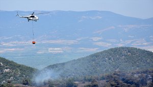 Manisa'daki orman yangınında soğutma çalışmaları sürüyor