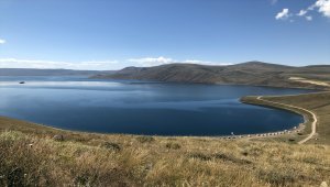 Maraton Yüzücüsü Emre Deliveli, Ağrı'daki Balık Gölü'nü yüzerek geçti