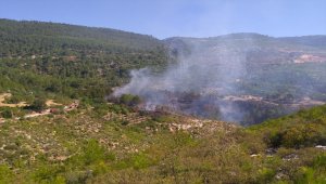 Mersin'de çıkan orman yangını söndürüldü