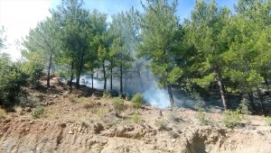 Mersin'de çıkan orman yangınına müdahale ediliyor