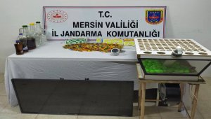 Mersin'de kumar oynayan 35 kişiye para cezası