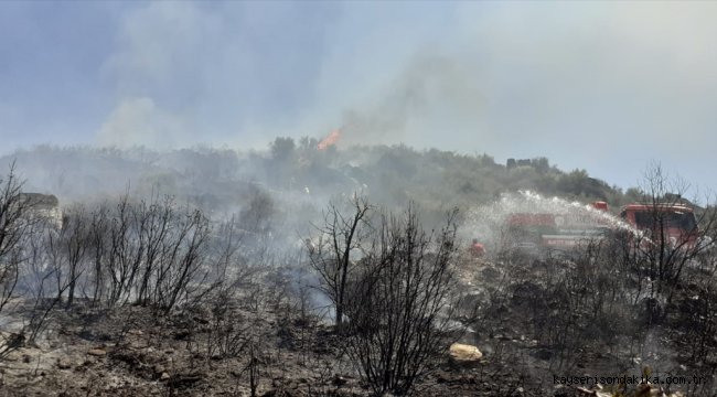 Muğla'da çıkan orman yangını söndürüldü