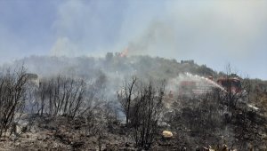 Muğla'da çıkan orman yangını söndürüldü