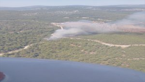 Muğla'da çıkan orman yangınına hava ve karadan müdahale ediliyor