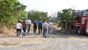 Muğla'da otluk alanda çıkan yangında bir kişi hayatını kaybetti