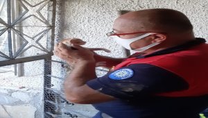 Muğla'da taş duvar arasında sıkışan kedi yavrusunu itfaiye kurtardı