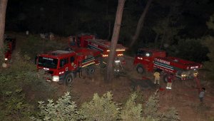 Muğla'daki orman yangını söndürüldü