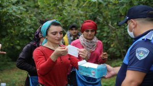 Ordu'da fındık işçilerine Kovid-19 denetimi 