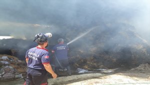 Osmaniye'de çiftlik yangını