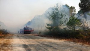 Osmaniye'de çıkan orman yangınına havadan ve karadan müdahale ediliyor

