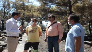 Priene Antik Kenti'ndeki yangın kritik noktada durdurulmuş
