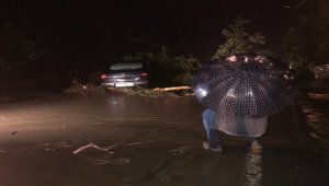 Rize'de şiddetli yağış