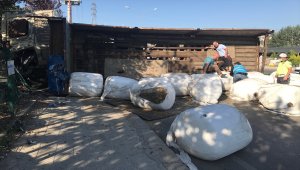 Sakarya'da kamyon ile hafif ticari araç çarpıştı: 4 yaralı