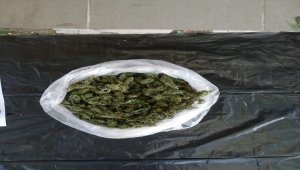 Sakarya'da uyuşturucu operasyonunda yakalanan zanlı tutuklandı