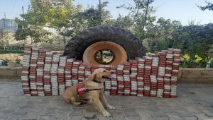 Şanlıurfa'da iş makinesinin lastiklerine kaçak sigara gizleyen şüpheli tutuklandı